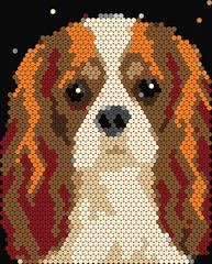 Cavalier King Charles
