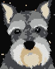 Schnauzer