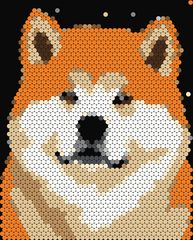Akita