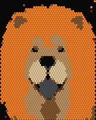 Chow Chow