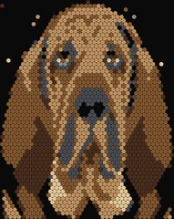 Bloodhound