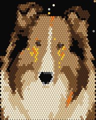 Rough Collie