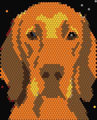 Vizsla