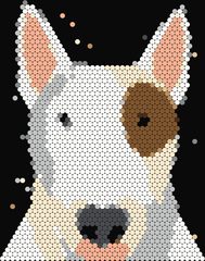 Bull Terrier