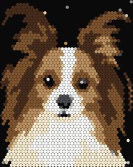 Papillon