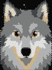 Grey Wolf