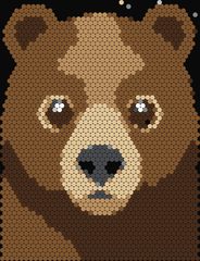 Brown Bear