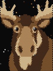 Moose
