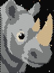 Rhinoceros