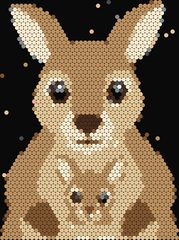 Kangaroo