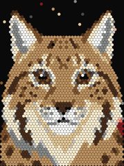 Lynx