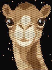 Camel