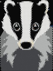 Badger