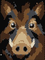 Wild Boar