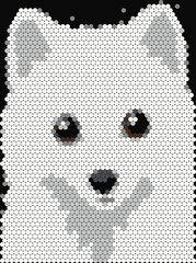 Arctic Fox