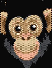 Chimpanzee