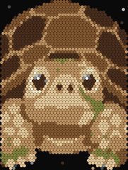 Tortoise
