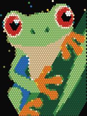 Tree Frog