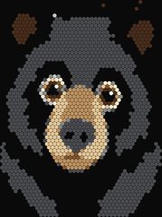Black Bear