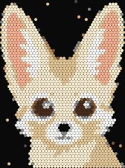 Fennec Fox