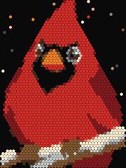Cardinal
