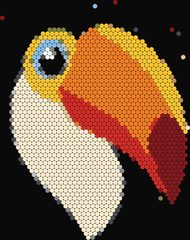 Toucan