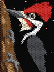 Woodpecker