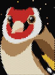 Goldfinch