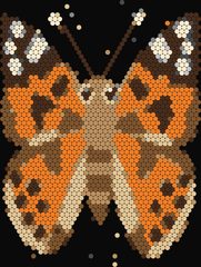 Painted Lady