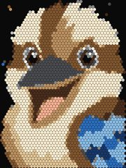 Kookaburra