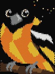 Baltimore Oriole
