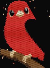 Scarlet Tanager