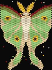 Luna Moth