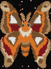 Atlas Moth