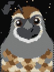 Quail