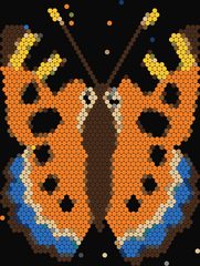 Small Tortoiseshell