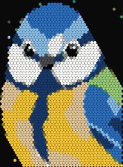 Blue Tit