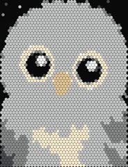 Owl Chick