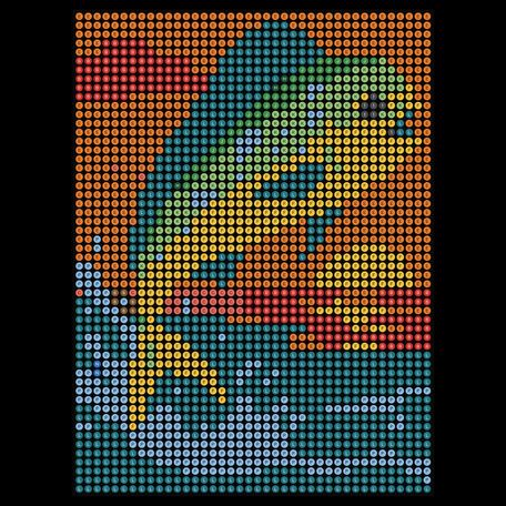 Mahi-Mahi