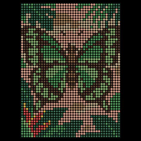 Malachite Butterfly