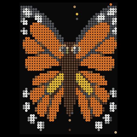 Monarch Butterfly