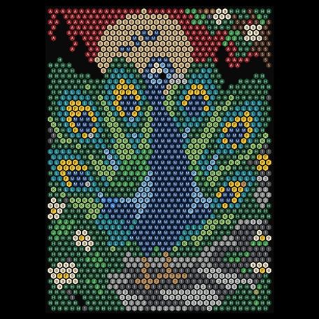 Peacock in the Night Garden