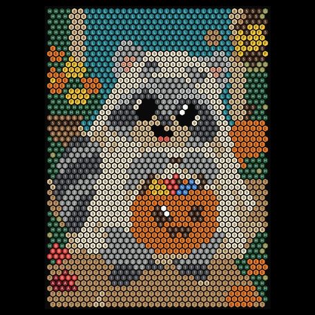 Raccoon Trick-or-Treater