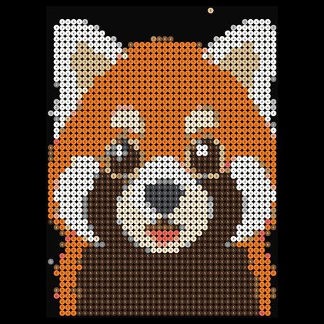 Red Panda