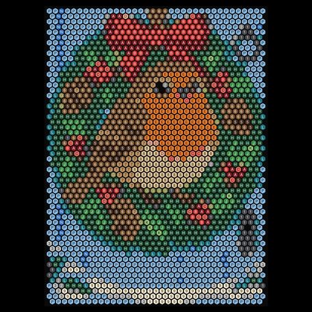 Robin on a Wreath