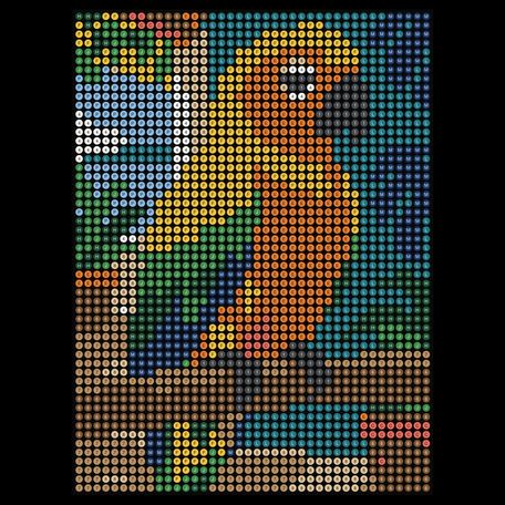 Sun Conure