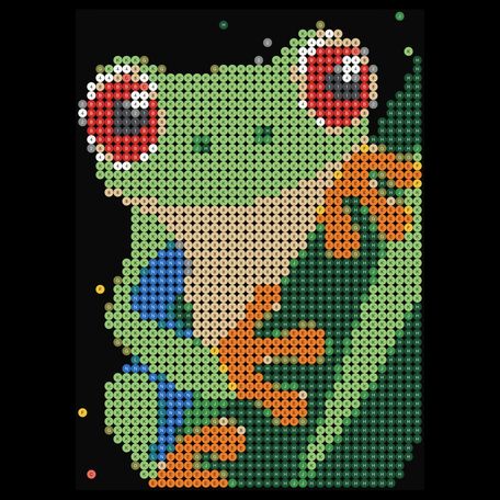 Tree Frog